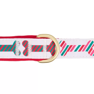Product Merry & Bright® Bones Holiday Dog Leash