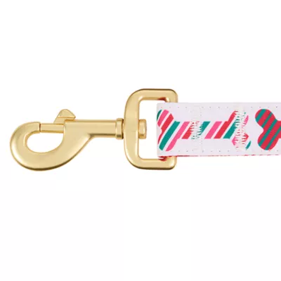 Product Merry & Bright® Bones Holiday Dog Leash