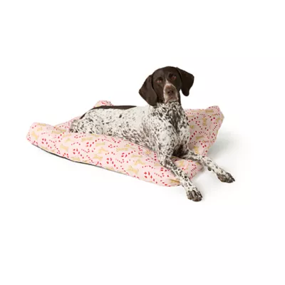 Product Merry & Bright® Candy Cane Holiday Pillow Bed