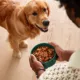 Product Jinx Chicken Salmon Homemades Meal Topper Dog Food