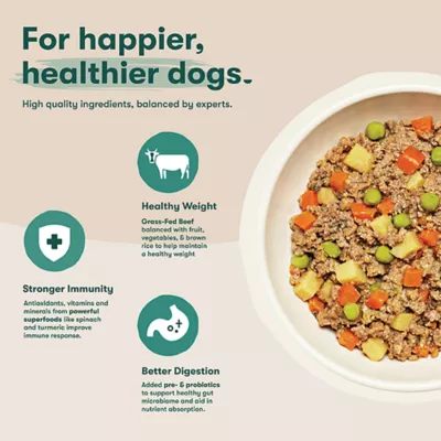 Product Jinx Homemades All Life Stages Wet Dog Food 9 oz