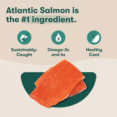 Product Jinx Salmon, Brown Rice, and Sweet Potato Dry Dog Food
