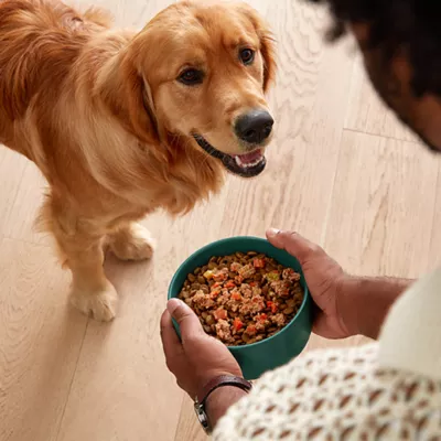 Product Jinx Chicken and Beef Homemades Meal Toppers Dog Food
