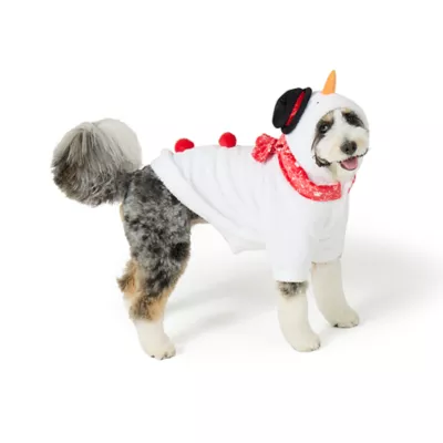 Product Merry & Bright® Snowman Holiday Costume
