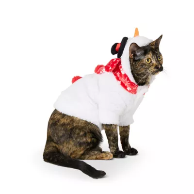 Product Merry & Bright® Snowman Holiday Costume