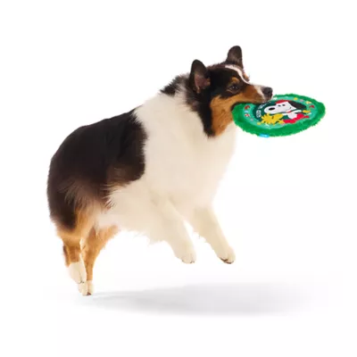 Product BARK Disc the Halls Charlie Brown Frisbee Disc Wreath Dog Toy