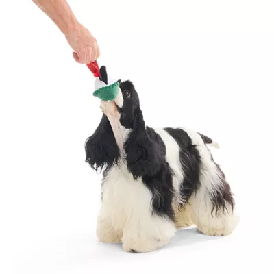 Product BARK Super Chewer Blizzard Beagle Charlie Brown Snoopy Tug Dog Toy