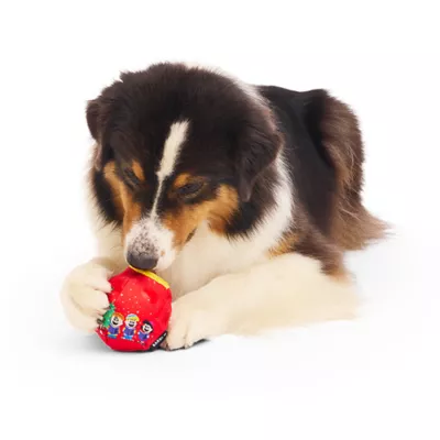 Product BARK Super Chewer Charlie Brown Peanuts Ornamutt Ornament Dog Toy