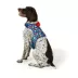 Merry & Bright® Holiday Presents Vest Harness image thumbnail 1