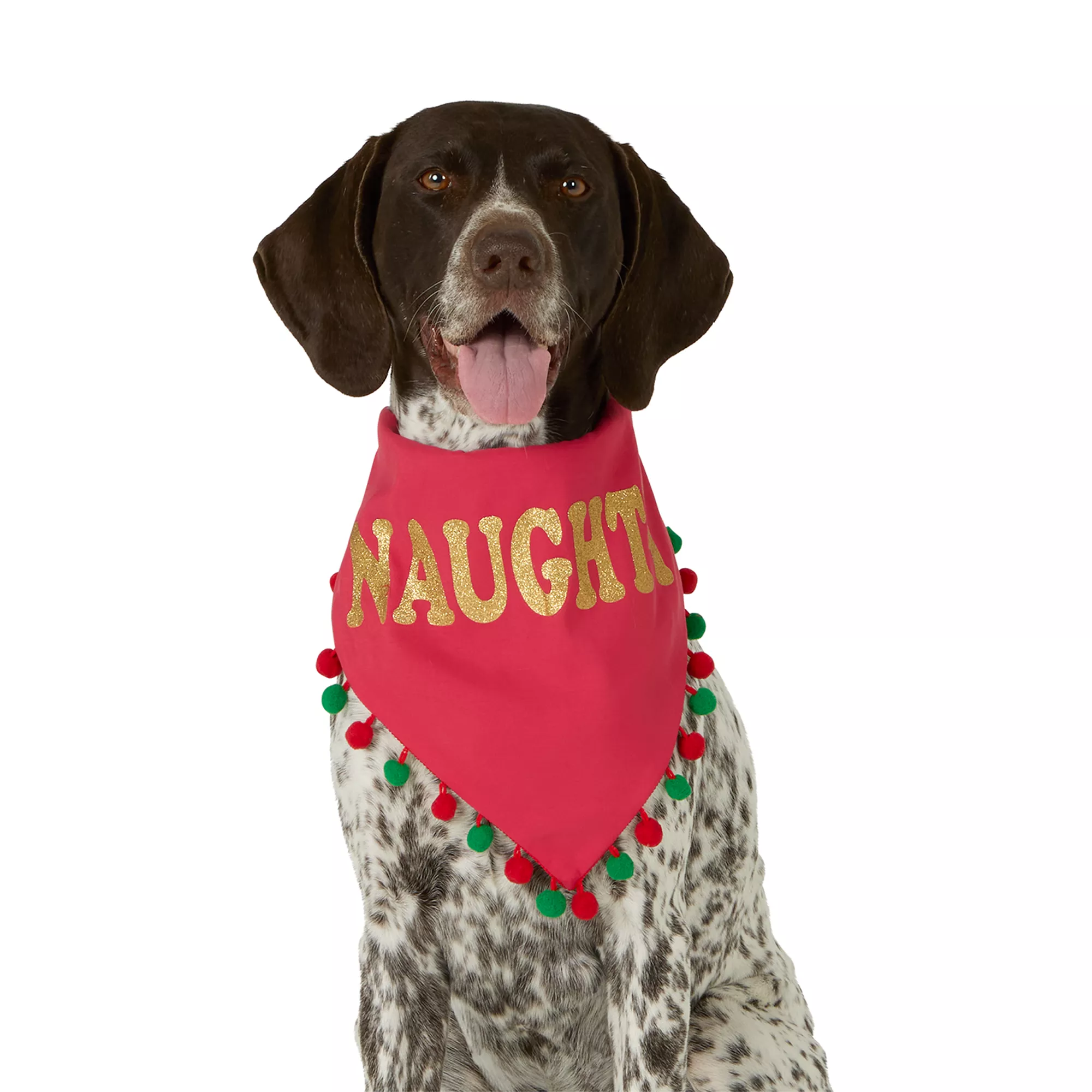 Merry & Bright® Naughty/Nice Bandana