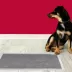 Nature's Miracle Advanced Puppy Training Pads With Carbon Activated Odor Reduction, Lavender image thumbnail 9