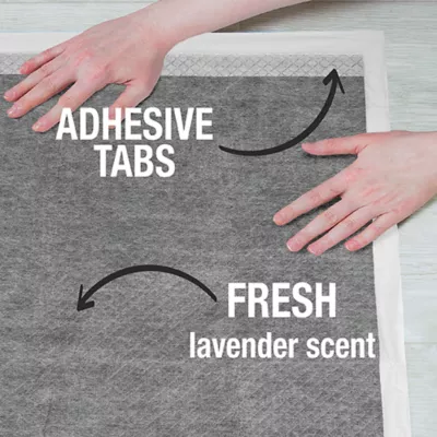 Product Nature's Miracle Advanced Puppy Training Pads With Carbon Activated Odor Reduction, Lavender