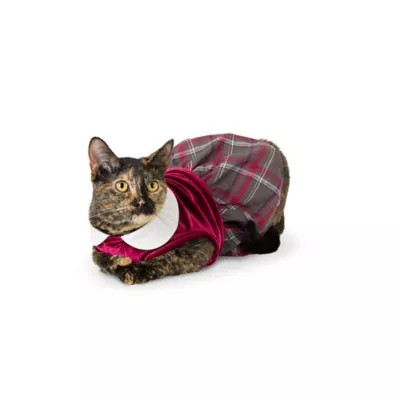 Product Merry & Bright® Velvet Holiday Dress