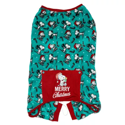 Product Peanuts Snoopy Green Dog Pajamas