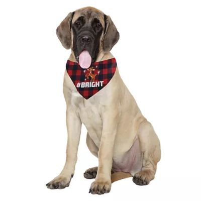 Product Rudolph® Plaid Dog Bandana