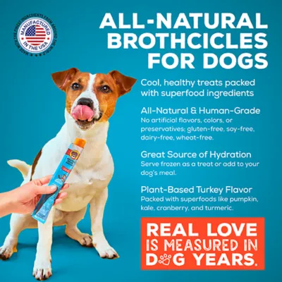 Product Brutus Bone Broth Brothcicles Adult Dog Treat - Turkey, 6 Count