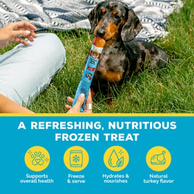 Product Brutus Bone Broth Brothcicles Adult Dog Treat - Turkey, 6 Count