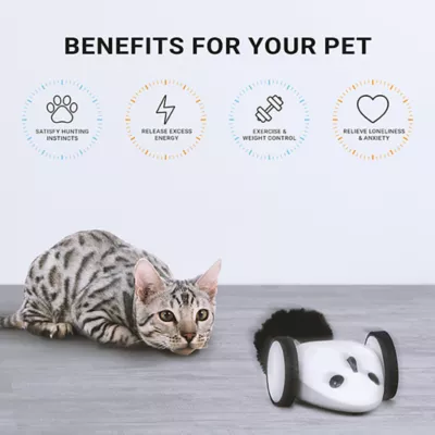 Product Instachew PureChase Smart Mouse Toy