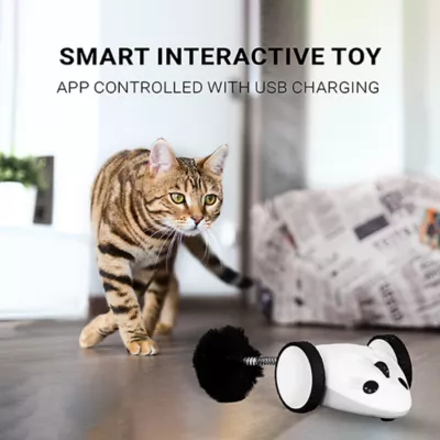Product Instachew PureChase Smart Mouse Toy