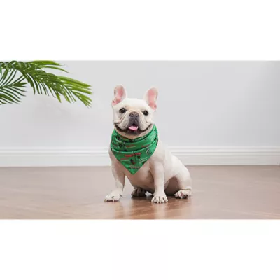 Product Disney Tim Burton's Nightmare Before Christmas: Jack Skellington Seasons Creepings Bandana