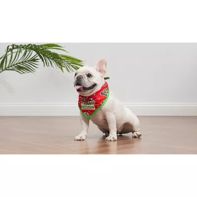Product Dr Seuss: Holiday Feast Mode Dog Bandana