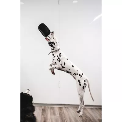 Pawty Animals Chewlulemon Bag Dog Toy - Image 2