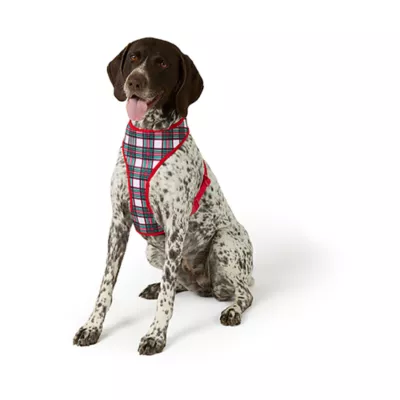 Product Merry & Bright® Candy Cane Reversible Dog Harness