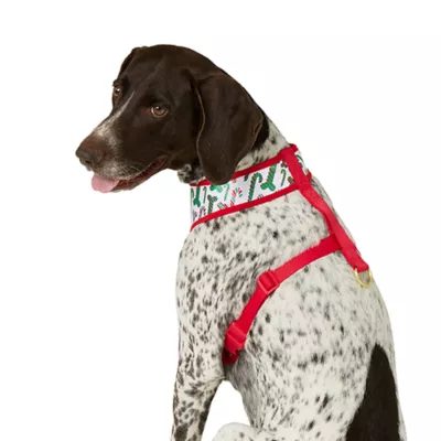 Product Merry & Bright® Candy Cane Reversible Dog Harness