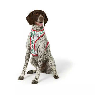 Product Merry & Bright® Candy Cane Reversible Dog Harness