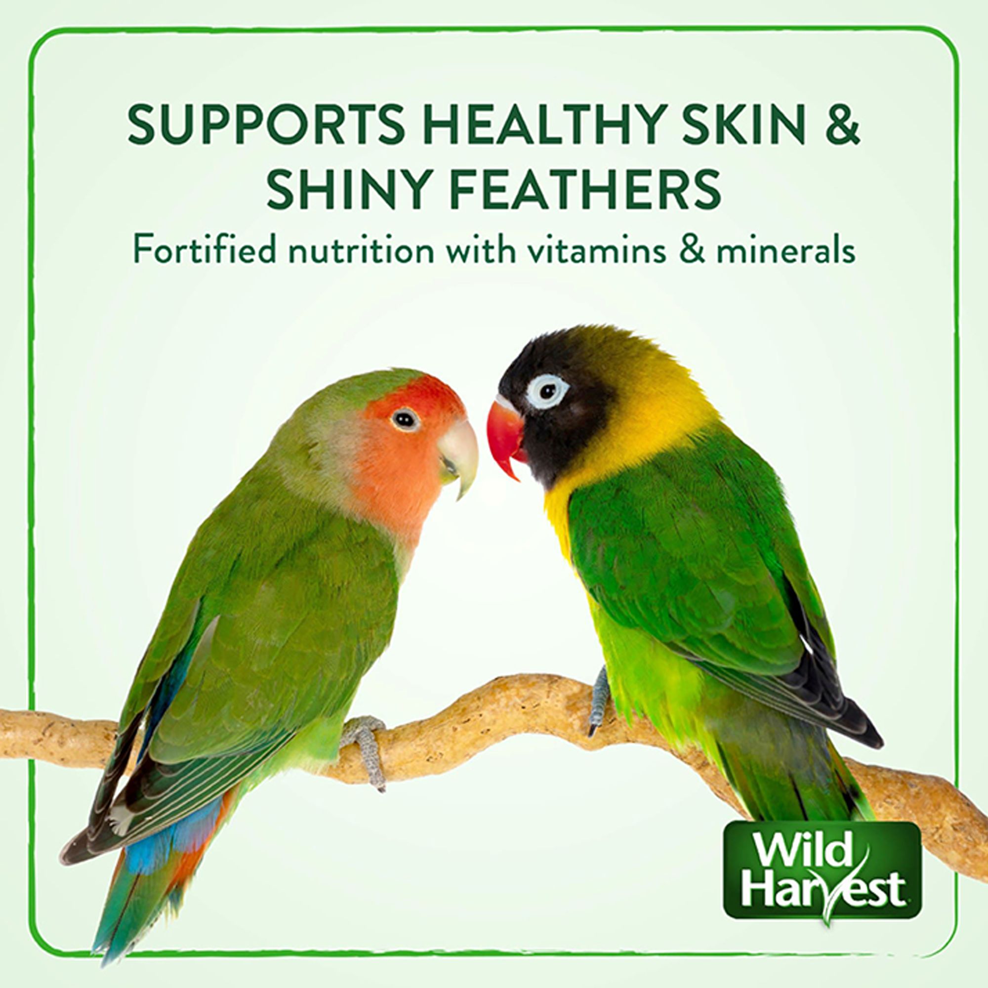 Wild Harvest® Universal Blend for Medium & Large Birds - thumbnail 4