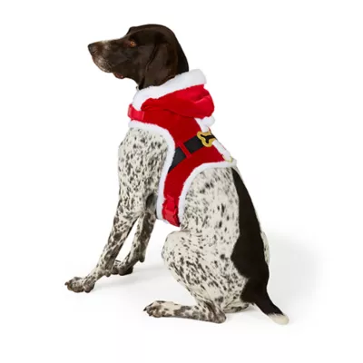 Product Merry & Bright® Santa Costume Harness