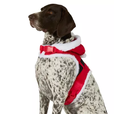 Product Merry & Bright® Santa Costume Harness