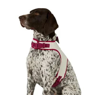 Product Merry & Bright® Holiday Vest Harness