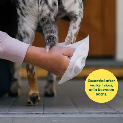 Product Earth Rated White Tea & Basil Wipes for Dogs and Cats, 100 Count
