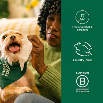 Product Earth Rated White Tea & Basil Wipes for Dogs and Cats, 100 Count