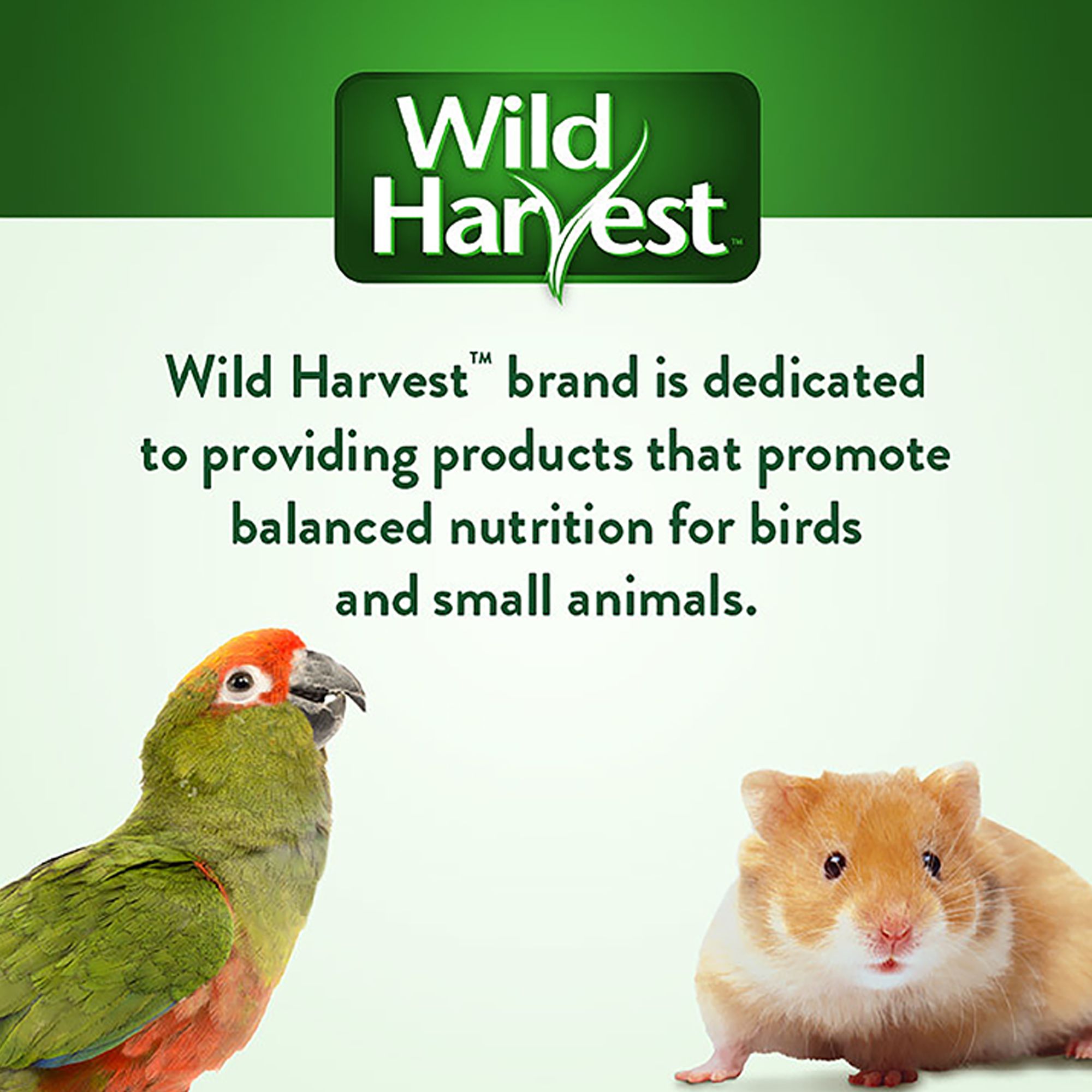 Wild Harvest® Picnic Party Hut - thumbnail 7