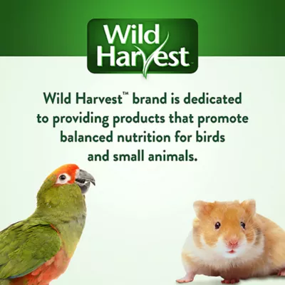 Product Wild Harvest Universal Blend for Small Birds