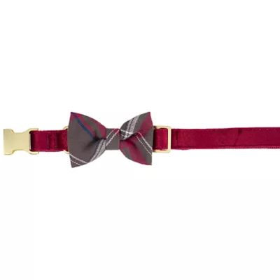Product Merry & Bright® Velvet Collar