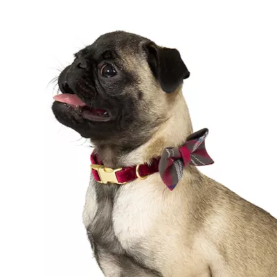 Product Merry & Bright® Velvet Collar