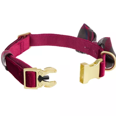 Product Merry & Bright® Velvet Collar