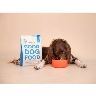 Product Pupford Kibble + Freeze-Dried Raw All Life Stages Dry Dog Food - Fish, 3.5 lb