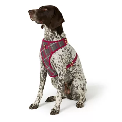 Product Merry & Bright® Plaid Holiday Harness
