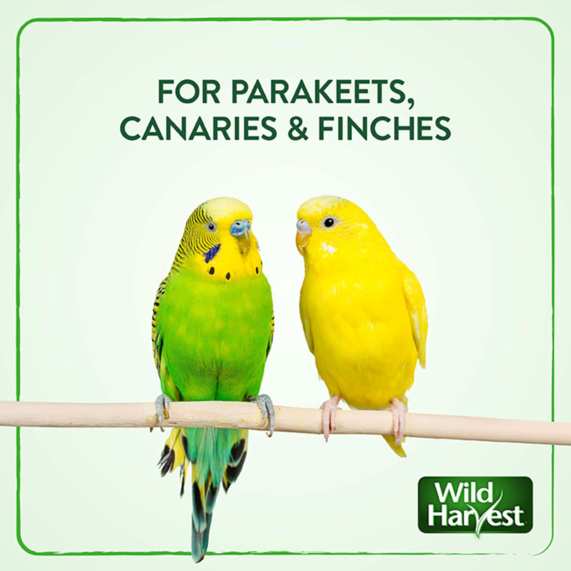 Wild Harvest® Daily Blend Nutrition Parakeet Diet - thumbnail 3