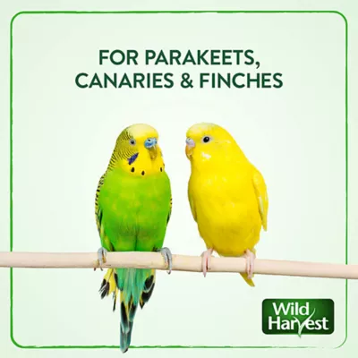 Product Wild Harvest® Daily Blend Nutrition Parakeet Diet