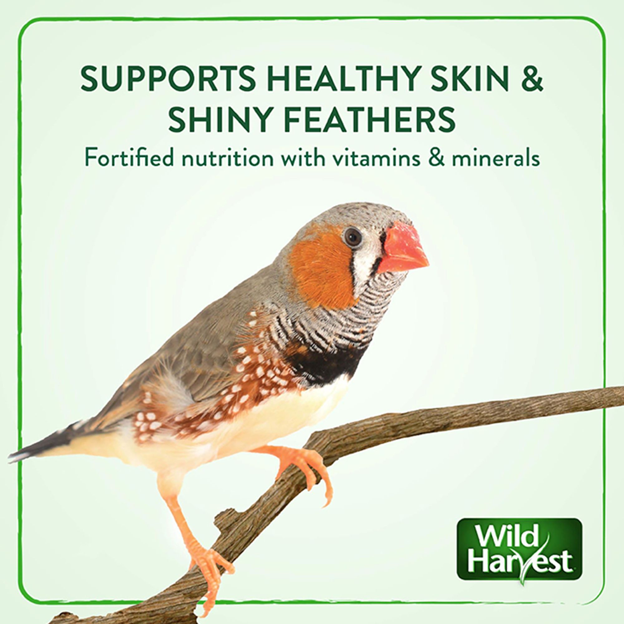 Wild Harvest® Daily Blend Nutrition Parakeet Diet - thumbnail 5