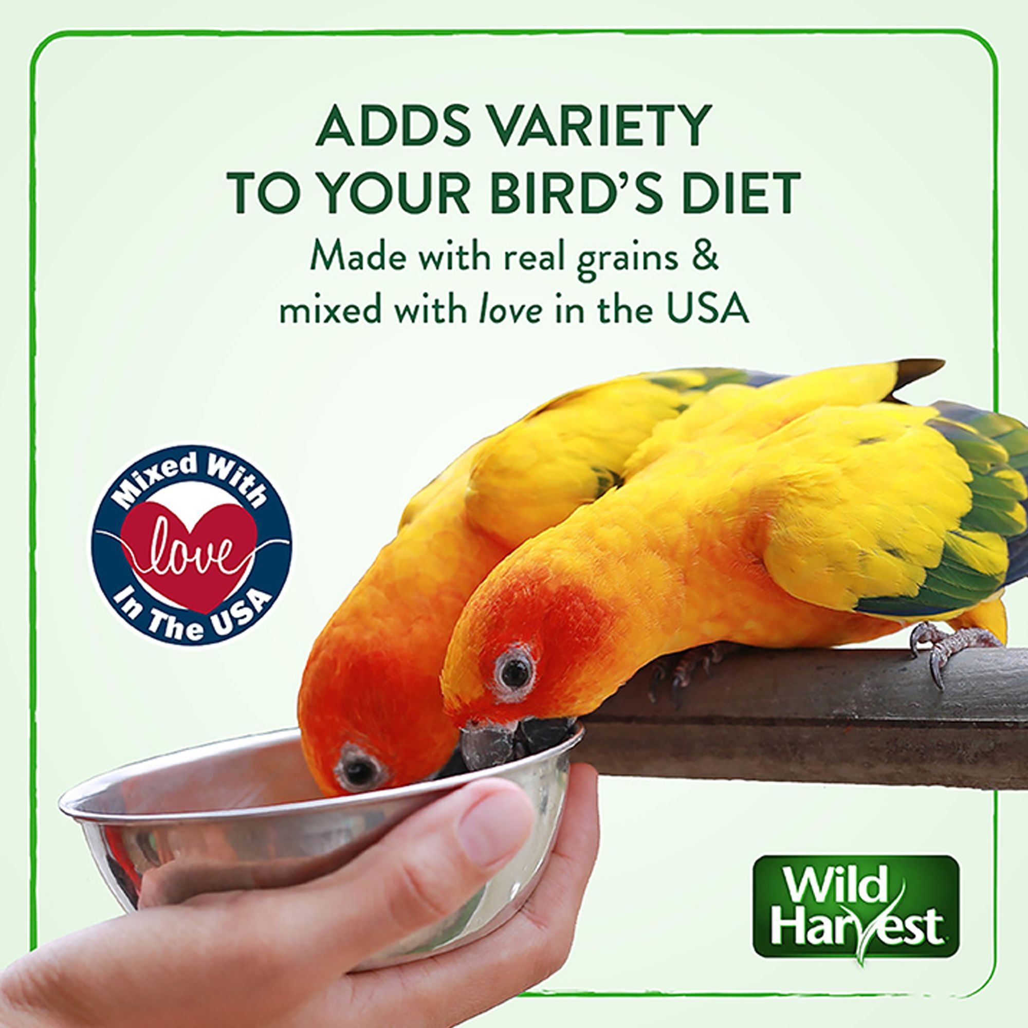 Wild Harvest® Daily Blend Nutrition Parakeet Diet - thumbnail 6