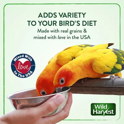 Product Wild Harvest® Daily Blend Nutrition Parakeet Diet