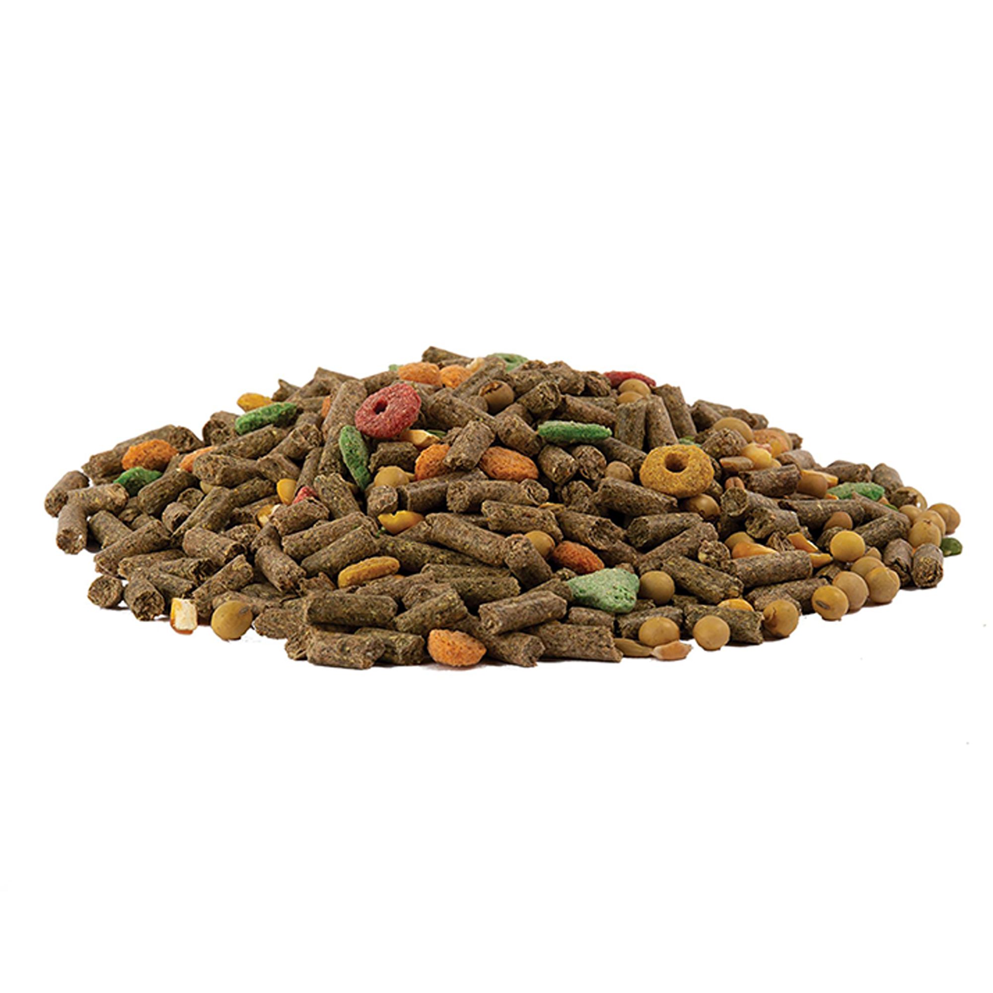 Wild Harvest® Advanced Nutrition Guinea Pig - thumbnail 3
