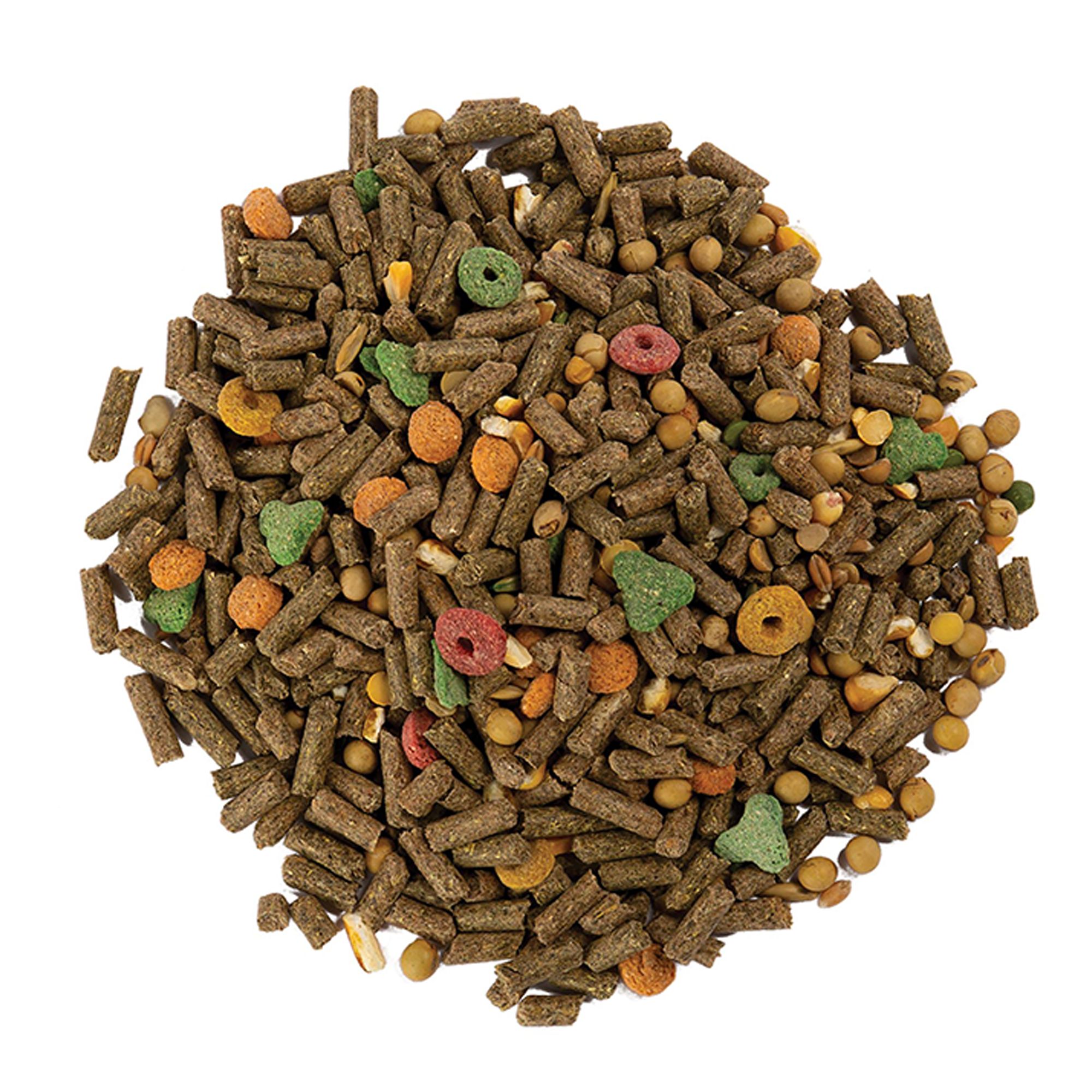 Wild Harvest® Advanced Nutrition Guinea Pig - thumbnail 4