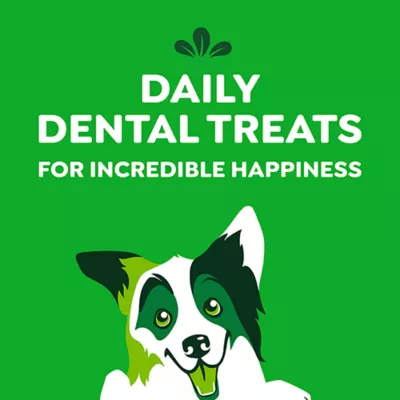 Product GREENIES Dog Dental Chews - Pumpkin Spice Flavour